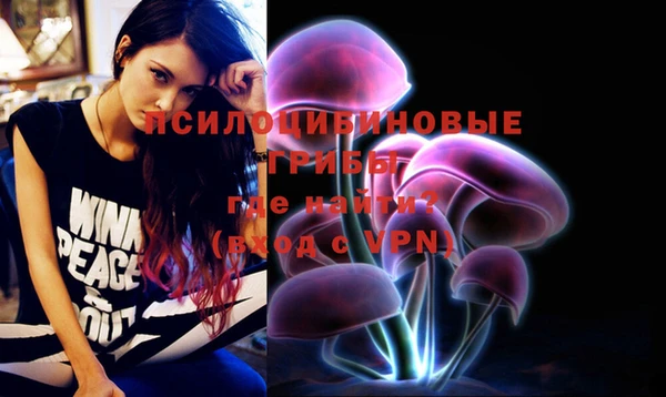 дурь Нея