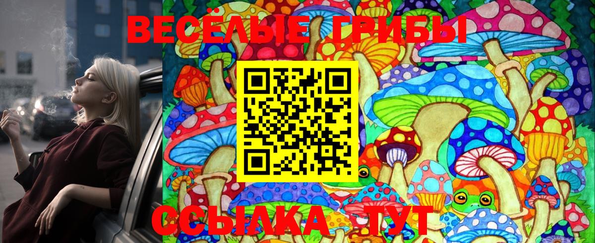 Псилоцибиновые грибы Psilocybe Самара