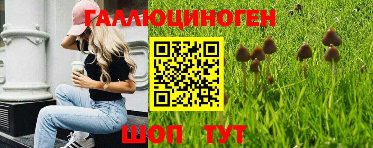 Галлюциногенные грибы Cubensis  Вход с VPN  Самара 
